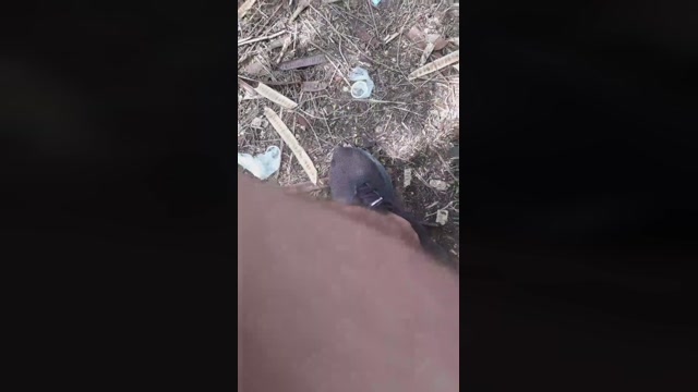 Synbaherrera  03-10-2022